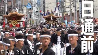 【岸和田】本宮 日通前 午後曳行のだんじり２１台を撮影！広い道で思いっきりやり回しや直線ダッシュをする迫力ある様子が見られました！　令和5年岸和田だんじり祭