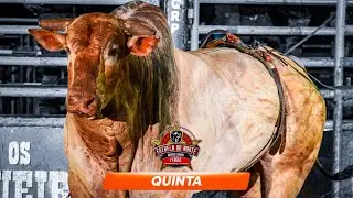 Rodeio de ESTRELA DO NORTE 2024 (QUINTA / MELHORES MOMENTOS)