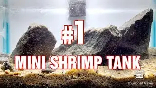 NEW AQUASCAPE /PART 1/ONLY HARDSCAPE /MINI SHRIMP TANK/NO FILTER