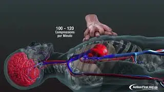 CPR Action Animation Video - Vectra Health Care Study Material