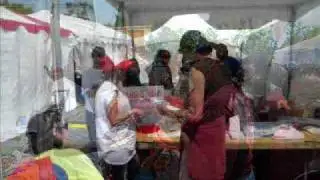 Census on Campus: UH Center for Public Policy.wmv