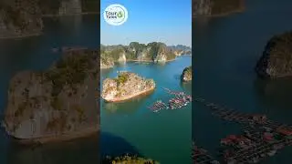 Best of Vietnam: 8-Day Guide (Hanoi, Halong Bay, Da Nang & Ho Chi Minh City)