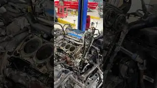 Ford 2.7 Eco Boost Timing Chain Failure at 4k Miles. Help me out, ideas that could have caused it?