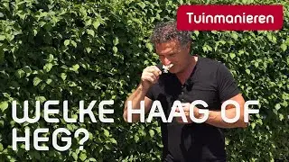 Erfafscheiding: E&eacute;n heg of meerdere hagen? | Tuinaanleg | Tuinmanieren