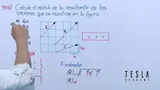 Ejercicio 38: M&oacute;dulo de la Resultante