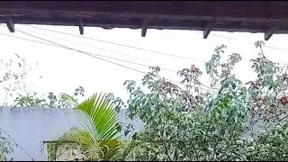meus vídeos eu falo de tudo um pouco! bom dia segunda feira maravilhosa