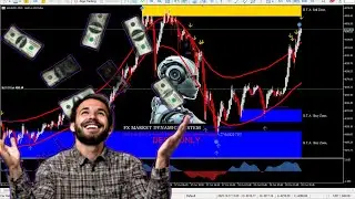 How to install the Fx Market Dynamics system on your mt5 platform