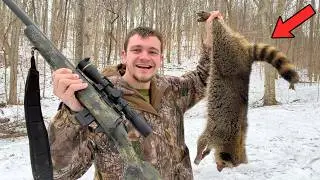 Let's Go Trap Giant Raccoons! (We Caught 3 and a Quarter)