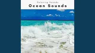Soothing Beach Tunes Journey for Instant Relax