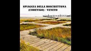 SPIAGGIA DELLA BOSCHETTONA (CODEVIGO) - VENETO