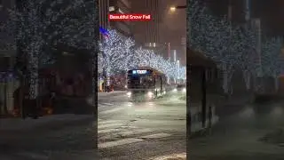 Night Snow Fall |Exploring Japan #snow #tokyo