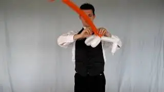 Balloon Library #5 Balloon animal horse instructions