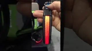 4 Paws Tech LED Collar and Leash