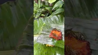 Kerala Style Pothichoru | Meal Wrapped In Banana Leaf | Healthy Food #pothichoru #bellpepper #yummy
