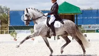 Jose Antonio Garcia Mena & Dragão das Figueiras 100415 ST Georges Vilamoura CDI 3* 2015