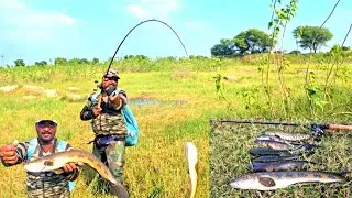 Amazing Fishing Video | Snackehed Fish Catching | Hyderabad Fishing Spot