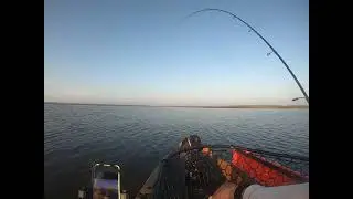 Red fishing with a spinner
