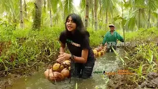 Finda Andrian Panen Kelapa dan Masak Inti Kelapa Pedas | JEJAK PETUALANG (21/11/21)