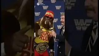 BIGFOOTAMANIA WWF / WWE part deux #shorts #humour