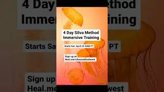 4-Day Immersive Training #silvamethod #transformation #silvamethodwest