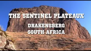 The Sentinel Plateaux, Drakensberg