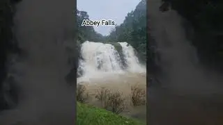Madikeri | Coorg | Abbey falls #waterfall #nature #naturesounds #water #natural #trip #weekend