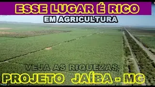 CONHEÇA O GIGANTE PROJETO JAÍBA NO NORTE DE MINAS GERAIS