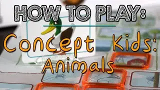 How to Play: Concept Kids Animals