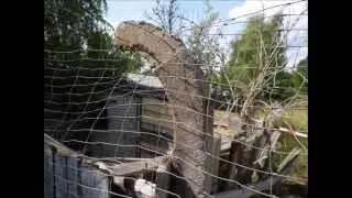 финов - Am alten Flugplatz Finow - Lost Places - ГСВГ
