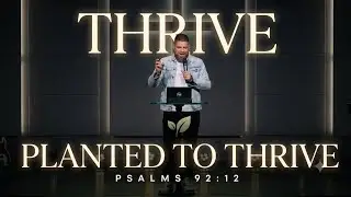 Planted to Thrive: The Power of Psalm 92:12