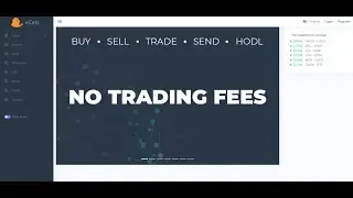 Обзор биржи eCats.online
