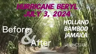 Hurricane Beryl Relief from Leah Flynn Jamaican American Youth Violinist