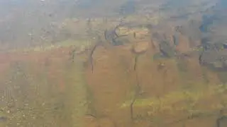 DRONE SALMON BALMAKEWAN