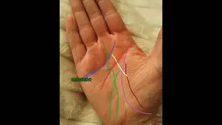 глубокие основные линии #магия #palmistry