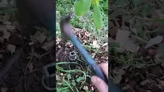 Simple Soil Core Sampler