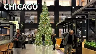 Chicago Christmas Walk 🎄✨ Downtown Christmas Trees & Lights On Wednesday | December 5, 2024 |