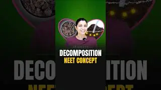 Decomposition NEET Concept #neetbiology #neet2024 #neet