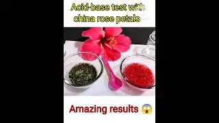 Acid - base test with China rose petals #shorts #trending #viral