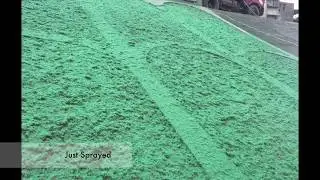 hydroseeding hydromulch  China River Bank Project by Rainier Fiber