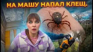 НА МАШУ НАПАЛ КЛЕЩ. УКЛАДЫВАЕМ ЛАМИНАТ.  Из города в деревню &mdash; 898 серия