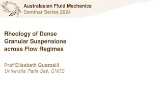 AFMS Webinar 2024 #14 - Prof Elisabeth Guazzelli (Université Paris Cité, CNRS)