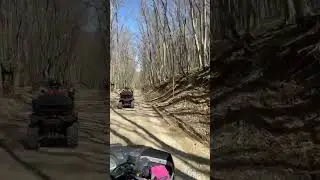 Шикарный Лес в Кабардинке))едем на родник,кто был здесь тот знает #remix #music #drift #квадроцикл #