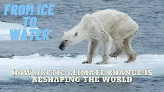 Arctic circle from scratch | Arctic climate change | Arctic climate | Global warming