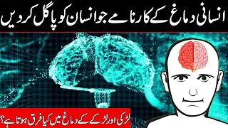 Amazing Facts about Human Brain.#amazingfacts #urdufact #interstingfacts #facts