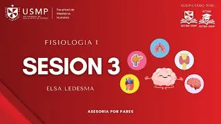Fisiolog&iacute;a1-Sesi&oacute;n 3-Contracci&oacute;n del musculo esqueletico y musculo liso -Elsa Ledesma-2026-0