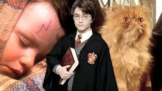 KRUMMBEIN war die KATZE von HARRY POTTER?! 😱