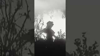 HVRT - Anger Revenge (Official Video) [2025 Blackened Grindcore]