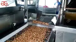 Automatic Continuous Broad Bean Fryer Machine