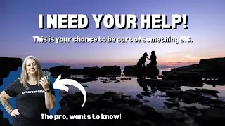 HOW can I HELP your DOG PHOTOGRAPHY journey be BETTER?