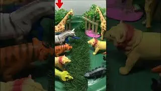 Animal Toys mini zoo